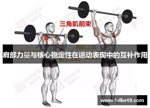 肩部力量与核心稳定性在运动表现中的互补作用